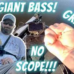 Catching Giants W/ Livescope Banned! Lake Fork Fall Bass Fishing w/ No Graphs! No Scope, No Problem!