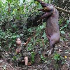 200 days of survival in the wild, setting traps for wild boars, catching stream fish,alone survival