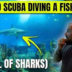 I TRIED SCUBA DIVING IN AN AQUARIUM FULL OF SHARKS!