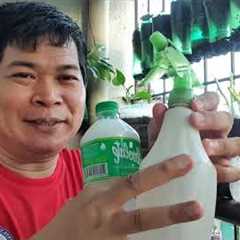 PAGGAWA NG NATURAL PESTICIDE (with ENG sub)