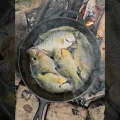 Catch and Cook Crappie and Bluegill