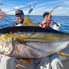 Giant Yellowfin Tuna Under Shrimp Boats! Catch Clean & Cook (NLBN Lure Tuna Fishing)