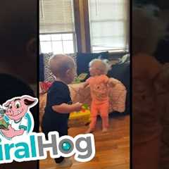 Babies Fight Over Toys || ViralHog