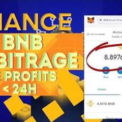 $2000/DAY Passive Income | NEW BNB Flash Loan Arbitrage | 10X Binance Profits - JUNE 2024 (Updated)