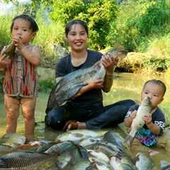 Meet giant fish, catch fish, trap fish with your children to sell at the market - cook food for pigs