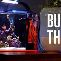 How to Set up a Saltwater Aquarium!