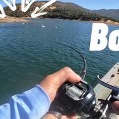 Fall time | striped bass fishing | hogan lake | 2024