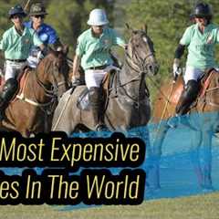 Top 5 Most Expensive Hobbies In The World