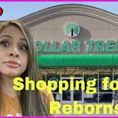 Shopping for my Reborn Babies at the Dollar Tree Reborn Dollar tree haul