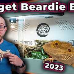 The Perfect Bearded Dragon Enclosure Setup for ANY Budget!