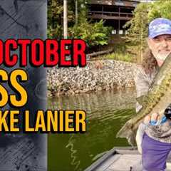 Big October Bass At Lake Lanier