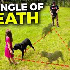 Teach Your Dog to COME to you EVERYTIME! Perfect Recall Training