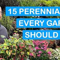 15 PERENNIALS EVERY GARDEN SHOULD GROW – COLOUR FROM FLOWERS & FOLIAGE: POTS & BEDS THROUGH ..