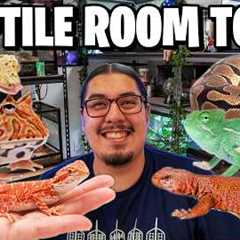 Reptile Room Tour! Pet Room