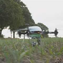 Better farming with drones