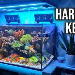 Keeping A Saltwater Aquarium Is EASY! Reef Tank Maintenance