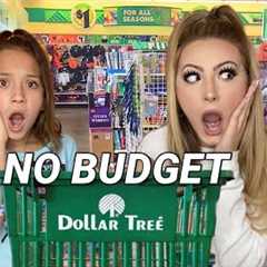 NO BUDGET 💵 DOLLAR TREE SHOPPING SPREE! 🤑