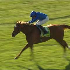 Impressive! Verse Of Love makes winning start at Newmarket