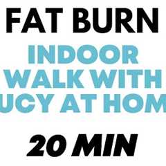 Walking Exercise for Weight Loss - 20  Minute Walk at Home