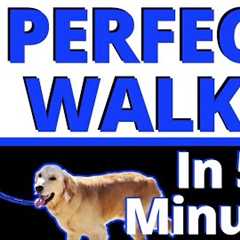 This ONE Change will Improve your Walks Guaranteed - 99% of People are getting this Wrong.