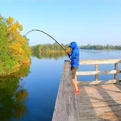 This Pier Catch & Cook Will Upset Someone!