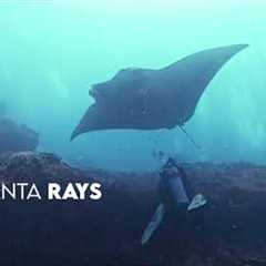 Scuba Go Indonesia – Your Gateway to Indonesia’s Best Dive Spots