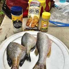 FRESH FISH Next to the Water! Catch Clean Cook Bluegill!