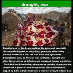 Global food prices in 2022 hit record high amid drought, war|#shorts