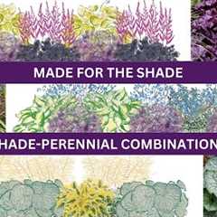 Landscape Design Ideas-Shade Perennial Combos