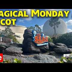 🔴Live: Magical Monday at Epcot -  Rides, Shopping, & More - Disney World Live Stream- 10-14-24