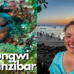 Scuba Diving In Nungwi Zanzibar for a WEEK! Tips/tricks for Diving in Tanzania