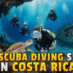 10 Best Places To Go Scuba Diving In Costa Rica 🇨🇷