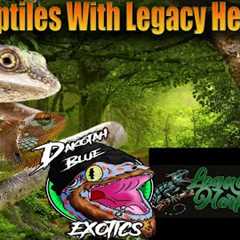 Youve Never Heard Of These Reptiles Before! Talking Rare Reptiles With Legacy Herps