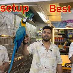 New offer video wajid exotic pets jogeshwari mumbai  #birds #exotic #mumbai