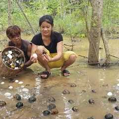 Survival in the rainforest, Pick egg and snail for food in jungle, Cooking egg with snail for dinner