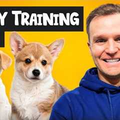 Puppy TRAINING - The FIRST 3 Things To Teach Any Puppy!