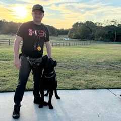 American Standard Live Dog Training