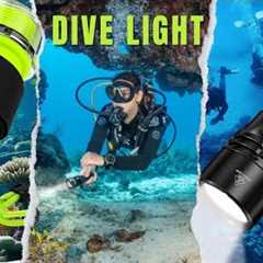 7 BEST Dive Lights of 2024 You Need to Know