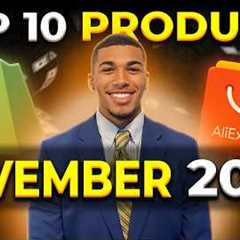 ⭐️ TOP 10 PRODUCTS TO SELL IN NOVEMBER 2024 | DROPSHIPPING SHOPIFY