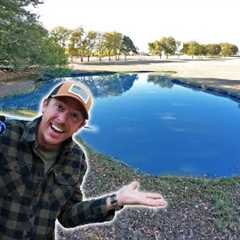 Fishing Backyard Pond for FIRST TIME! What Fish Live in Here?