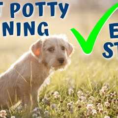 Potty Train Your Puppy in a Week (Easy 3 Step Process) #48