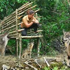 Face Alone With Ferocious Roaring Dogs, Quickly Build A Hideout, Primitive Survival