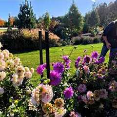 Cutting Flowers for a Wedding, Planting Trees & Harvesting Pumpkins! 🌸🌳🎃 // Garden Answer