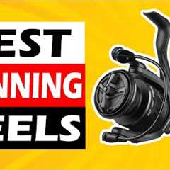 Top 5 Best Spinning Reels in 2025