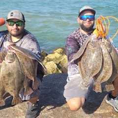 Fall Jetty Flounder Fishing Limits of BIG FLOUNDER (Catch & Cook)