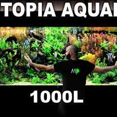 The 8ft Utopia Aquarium: EPIC 1000L Build over 300 Fish (Aquascape Tutorial)