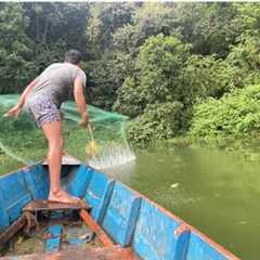 cast net fishing /traditional fishing/tilapia fishing/amazing fishing/begnas lake pokhara/जाल