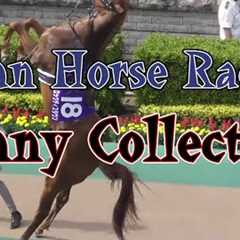 Japanese Horse Racing funny cute videos