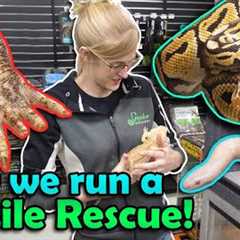 All about our Reptile Rescue Program!