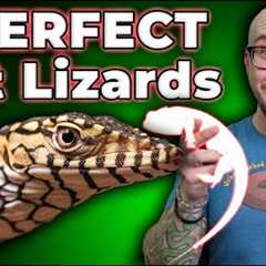 Top 5 BEST Lizards At EVERY Size! You'll NEVER Guess Number One!